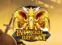 Invicible Elephant