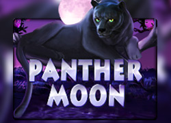 Panther Moon