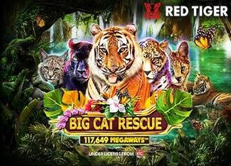 Big Cat Rescue Megaways