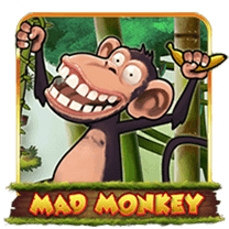 Mad Monkey H5